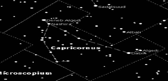 ملف:Capricornus2.gif